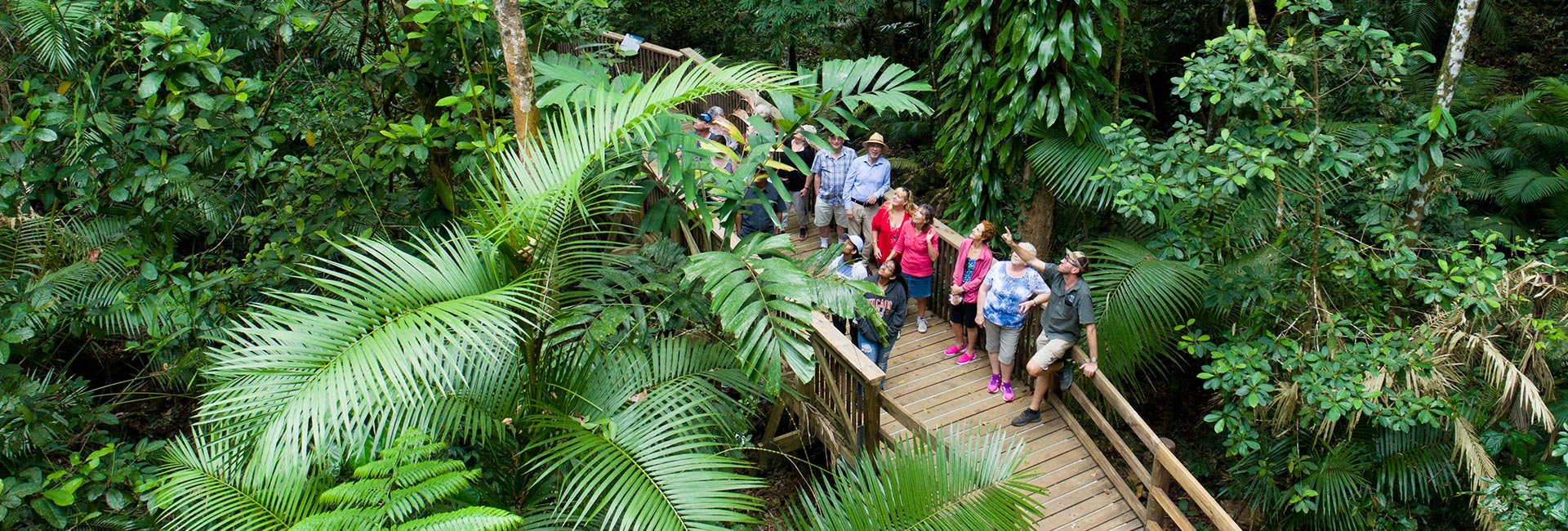 Reef & Rainforest Packages