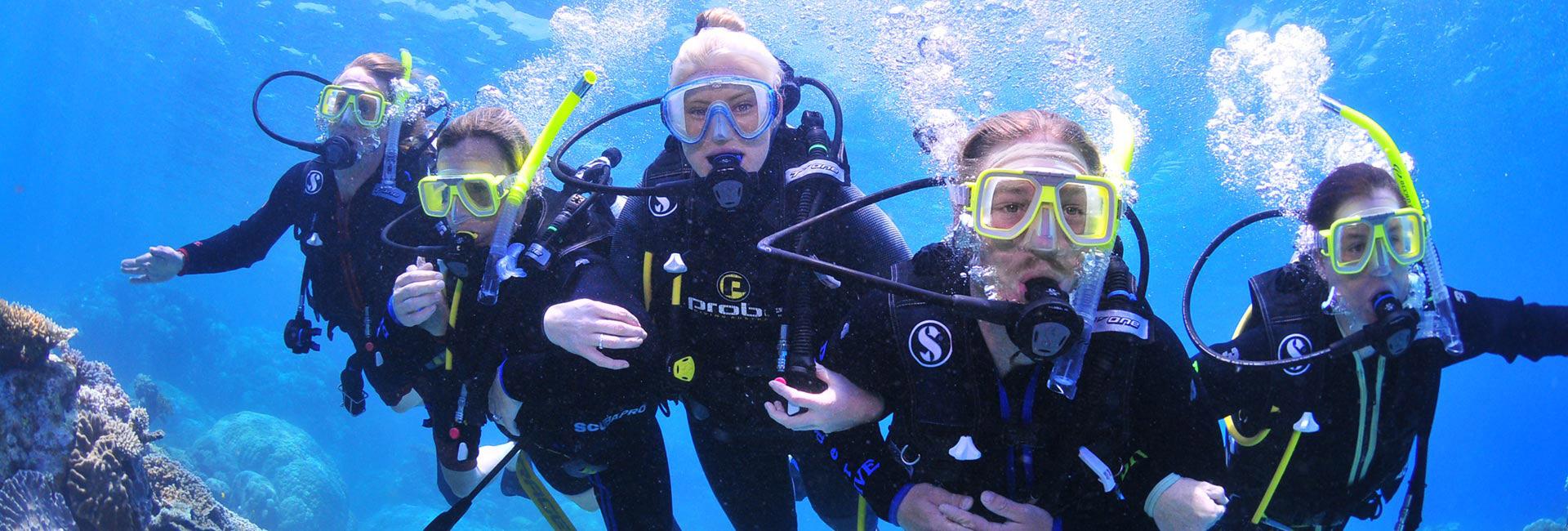 Introductory Dives